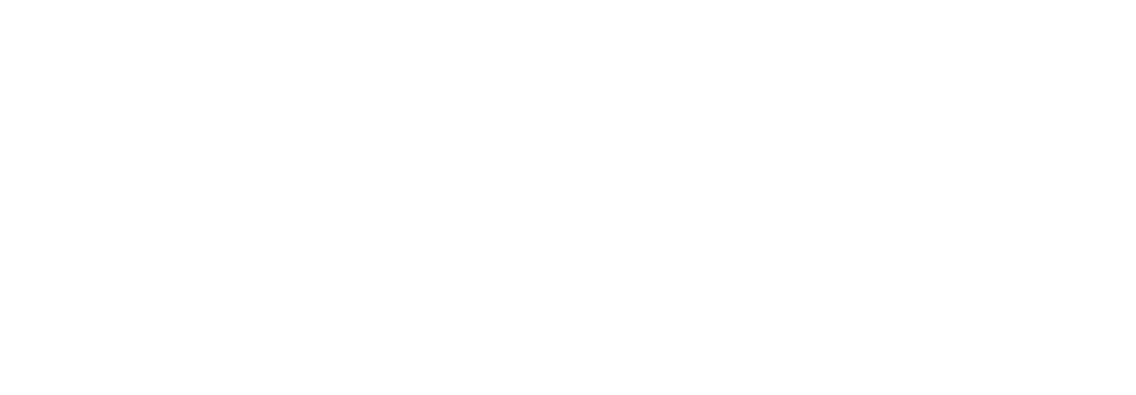 AIMO Solutions
